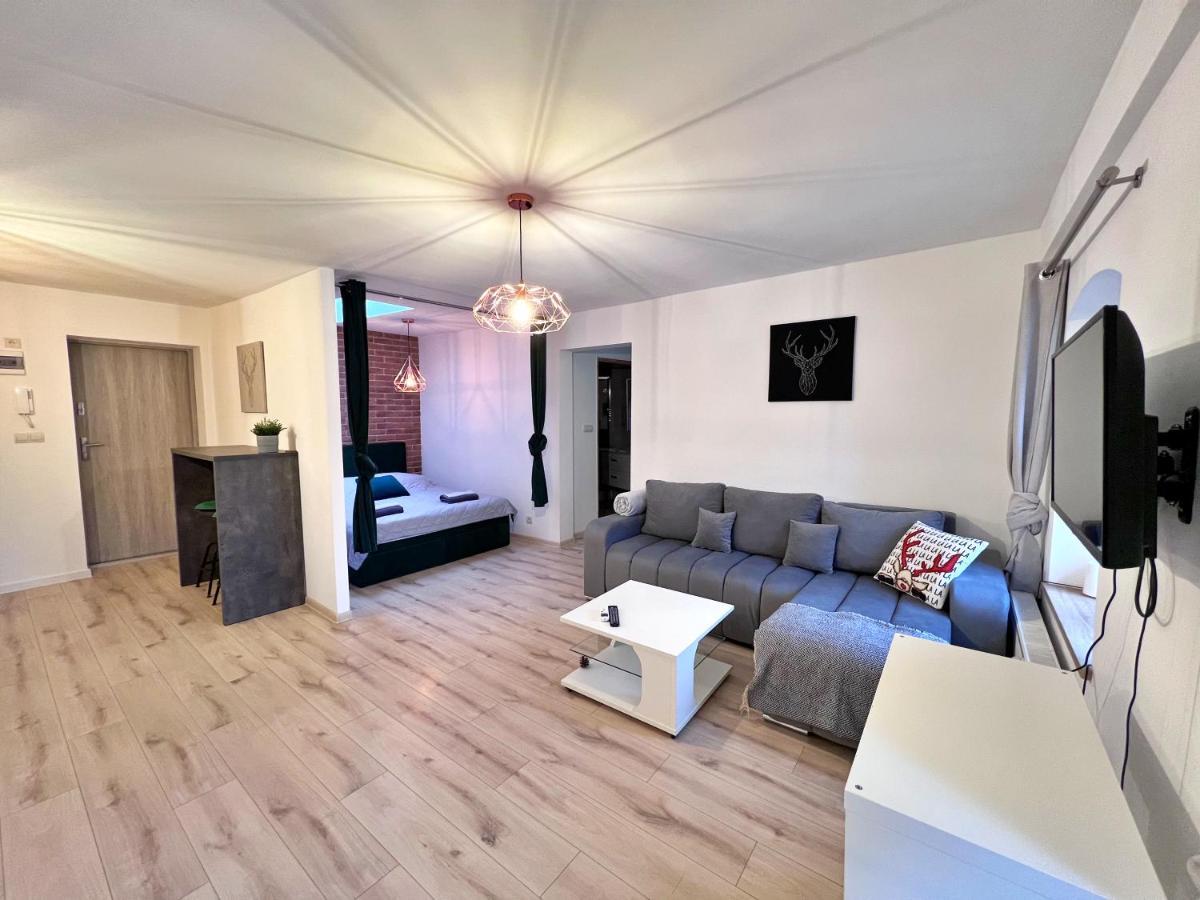 Apartament W Samym Centrum Jeleniej Gory Jelenia Góra Exterior foto